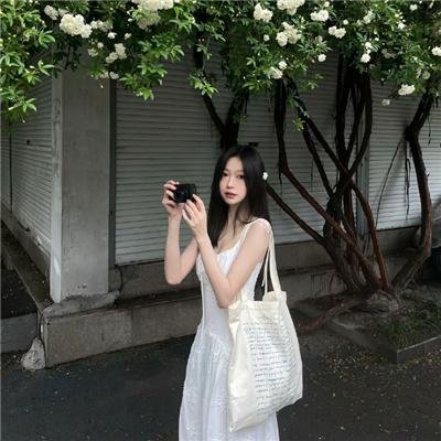 藩篱海报